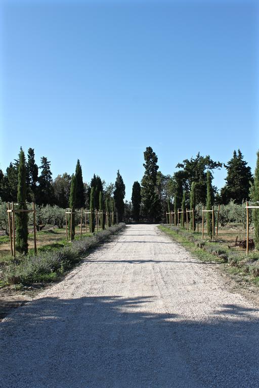 Domaine De Fontbelle Graveson Exterior foto