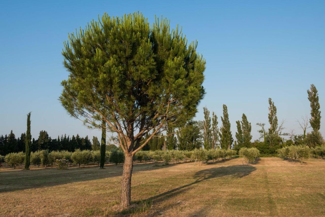 Domaine De Fontbelle Graveson Exterior foto